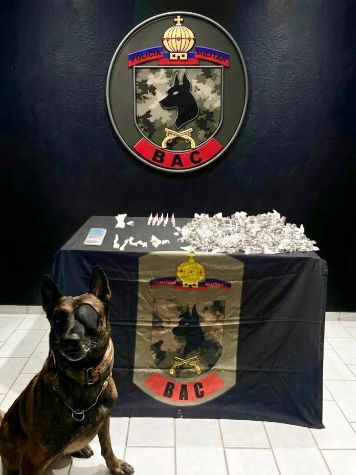 PM apreende drogas em Jaguaré e suspeitos são detidos durante operação